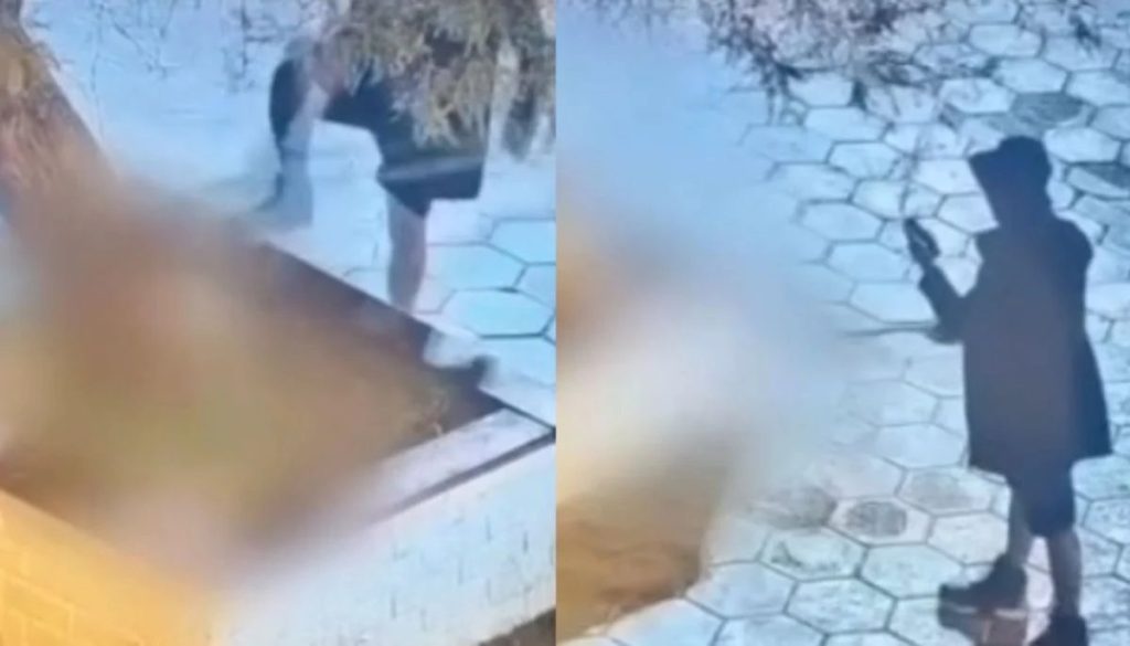 Formalización de un Hombre por Maltrato Animal en la Tirana - Indignación en La Tirana: Hombre formalizado por maltrato animal