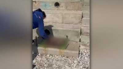 Investigación sobre Maltrato Animal en el Balneario Municipal de Antofagasta - Brutal Caso de Maltrato Animal Indigna a Antofagasta