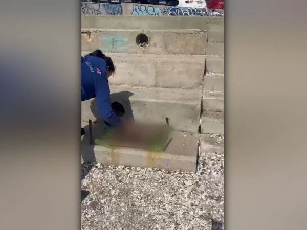 Investigación sobre Maltrato Animal en el Balneario Municipal de Antofagasta - Brutal Caso de Maltrato Animal Indigna a Antofagasta