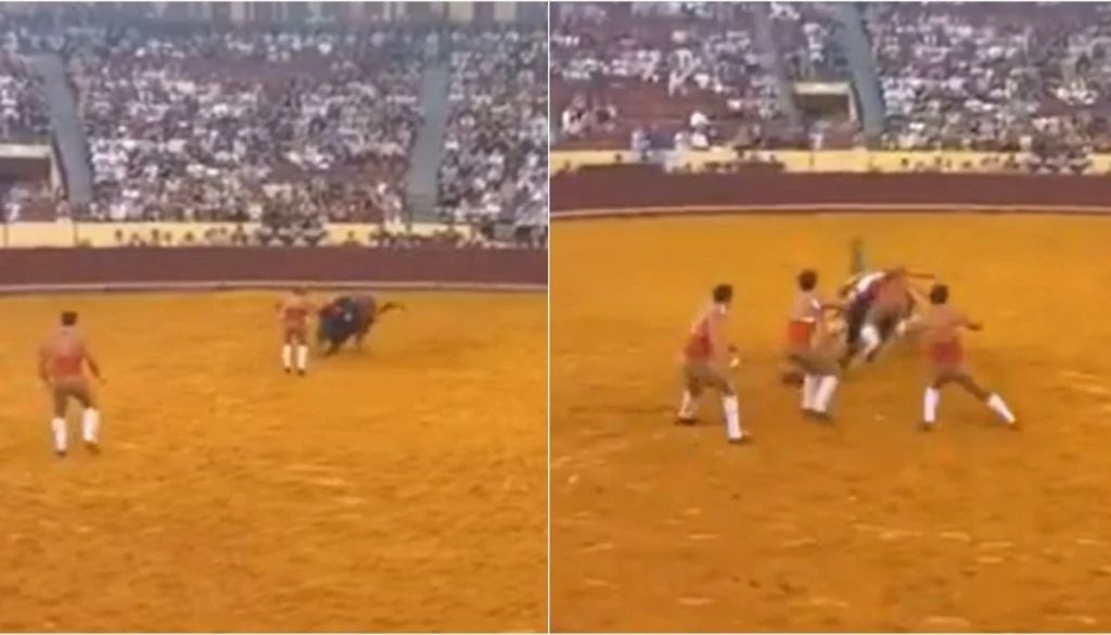 Muerte de un Joven Forcado tras la Embestida de un Toro en Portugal - Tragedia en Portugal: joven forcado muere tras embestida de toro