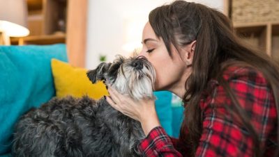 Permiso Laboral por la Muerte de una Mascota en Chile - Permiso laboral por duelo de mascota avanza en Chile