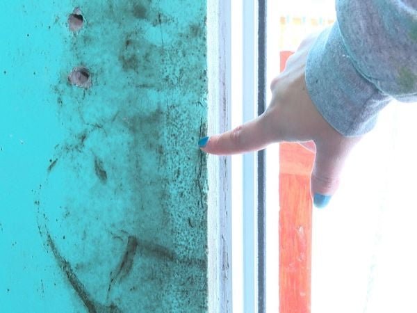 Problemas de Hongos en las Viviendas Sociales en Antofagasta - Aumentan las Denuncias por Humedad en Viviendas Sociales de Antofagasta