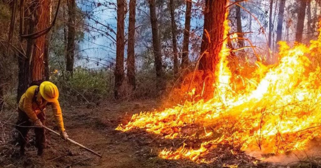 Alerta Roja en Machalí por un Incendio Forestal en la Precordillera Andina Norte - Alerta roja en Machalí: Incendio amenaza un ecosistema vital.