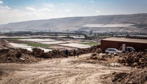 Cómo Participar en el Programa Tierra Joven para Acceder a Terrenos - Postula al Programa Tierra Joven y Obtén tu Propio Terreno