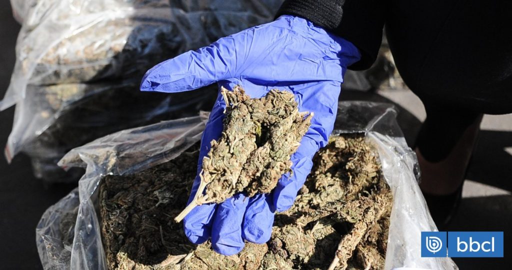 Detención de una Mujer con Marihuana en un Bus Interprovincial en Valdivia - Detienen a mujer con casi un kilo de marihuana en Valdivia