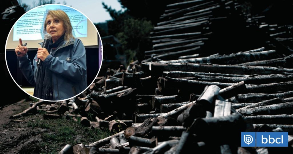 Disculpas de la Seremi del Trabajo por el Cierre de los Aserraderos - Disculpas del Seremi del Trabajo generan debate en Bío Bío