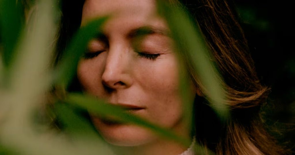 El Poder Secreto de las Plantas en la Belleza de Loto del Sur - La Magia de Loto del Sur: Belleza Inspirada en la Naturaleza