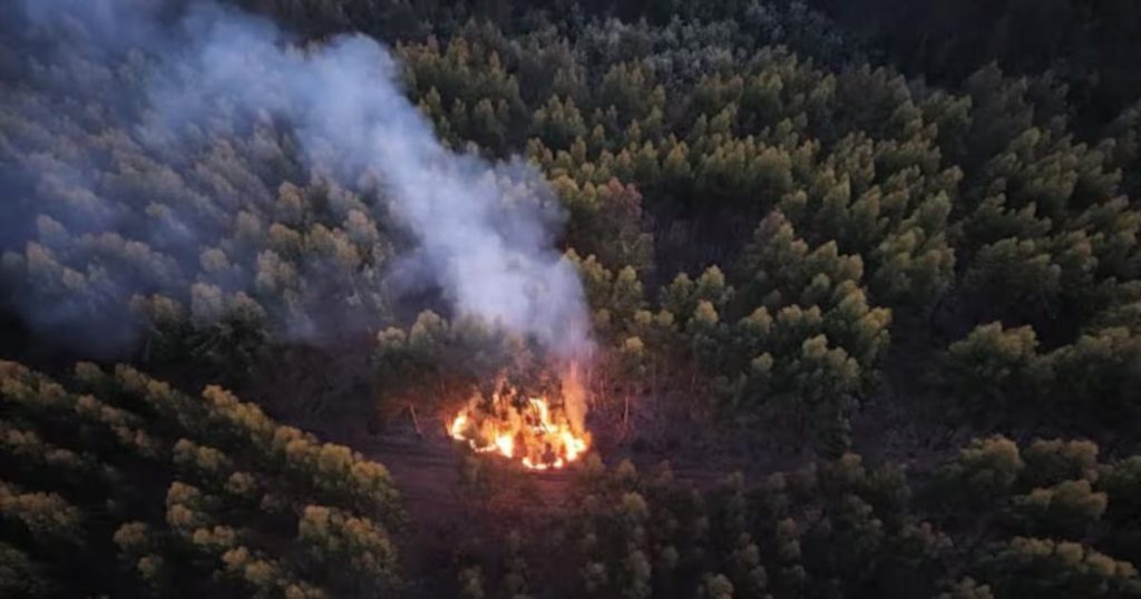 Incendios en la Empresa Arauco en el Biobío - Incendios en Biobío: Alerta y Respuesta Rápida en Penco