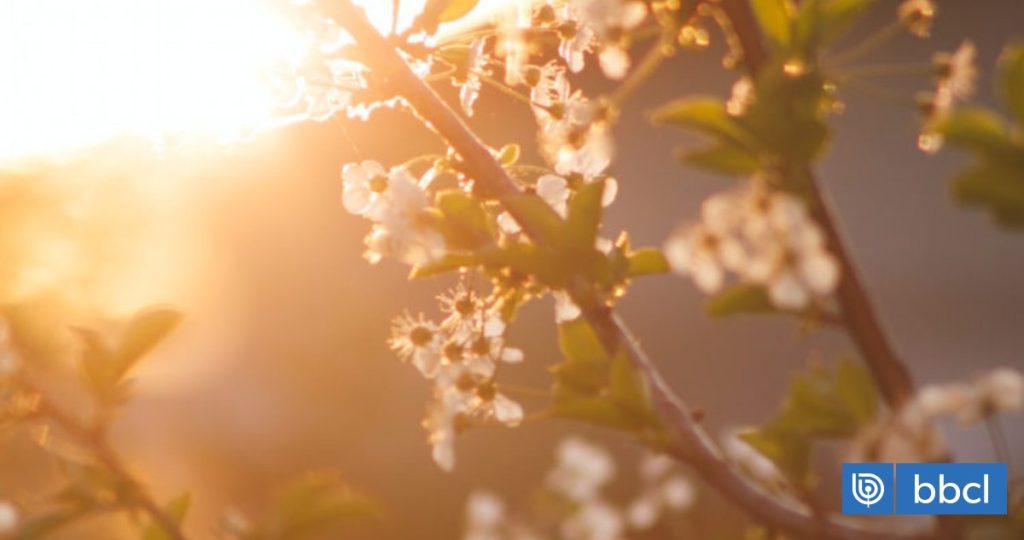Inicio de la Primavera en Chile 2025 - La Primavera 2025: Fecha y Hora del Equinoccio en Chile