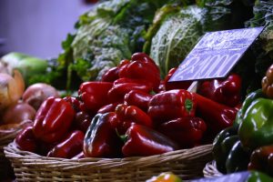 Sueldos en el Sector Agrícola Chileno para Trabajadores Temporales - Sueldos Agrícolas en Chile Superan el Millón de Pesos Mensuales