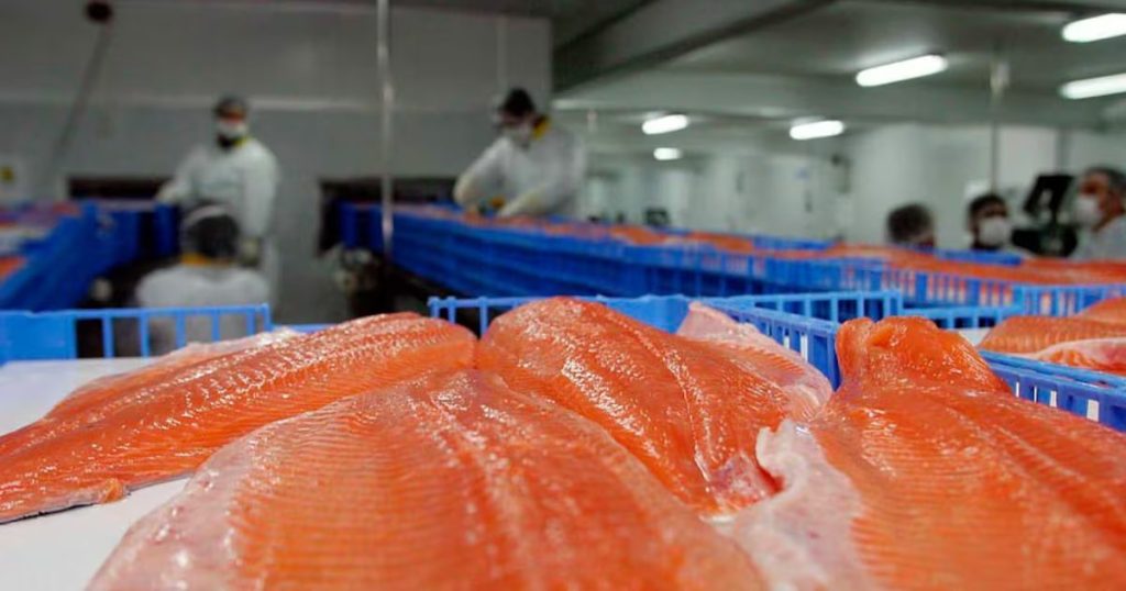 Ampliación de la Querella por Administración Desleal contra Australis Seafoods - Australis Seafoods intensifica su batalla legal por administración desleal.