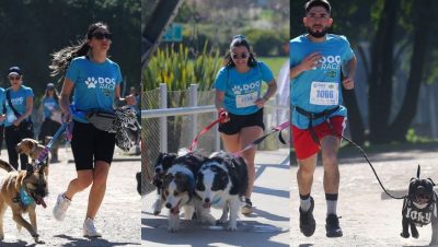 Corridas Perrunas en la Región Metropolitana 2025 - Corridas caninas revolucionan Santiago con eventos únicos