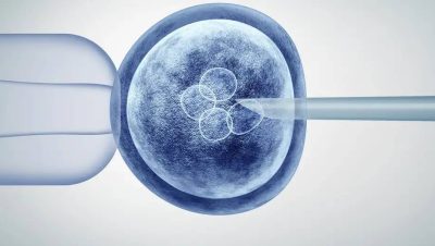 Creación de Óvulos Funcionales a Partir de Células de la Piel Humana - Científicos crean óvulos humanos a partir de células de piel