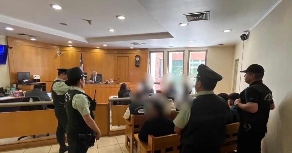 Desarticulación de una Banda que Robó un Cultivo Legal de Cannabis en Pelarco - Desarticulan peligrosa banda en Pelarco tras robos de cannabis medicinal.