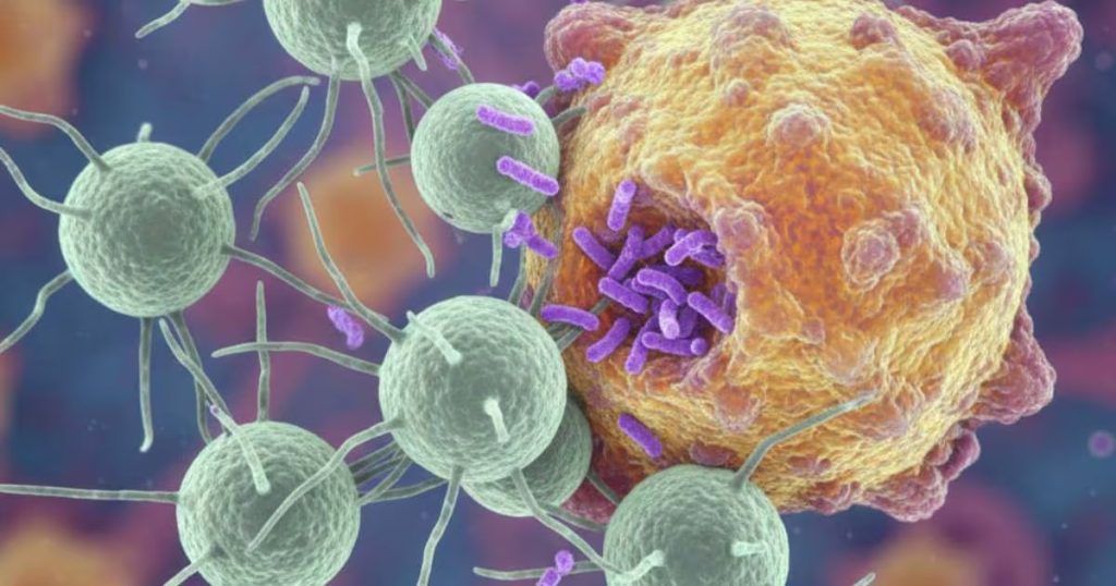 Descubrimiento de las Células T que Ganó el Premio Nobel de Medicina - Revolución en Medicina: Células T ganan el Premio Nobel 2025