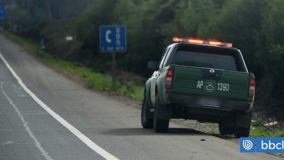 Investigación sobre Disparos Injustificados en Ercilla - Disparos en Ercilla: Consecuencias para la Seguridad y la Comunidad