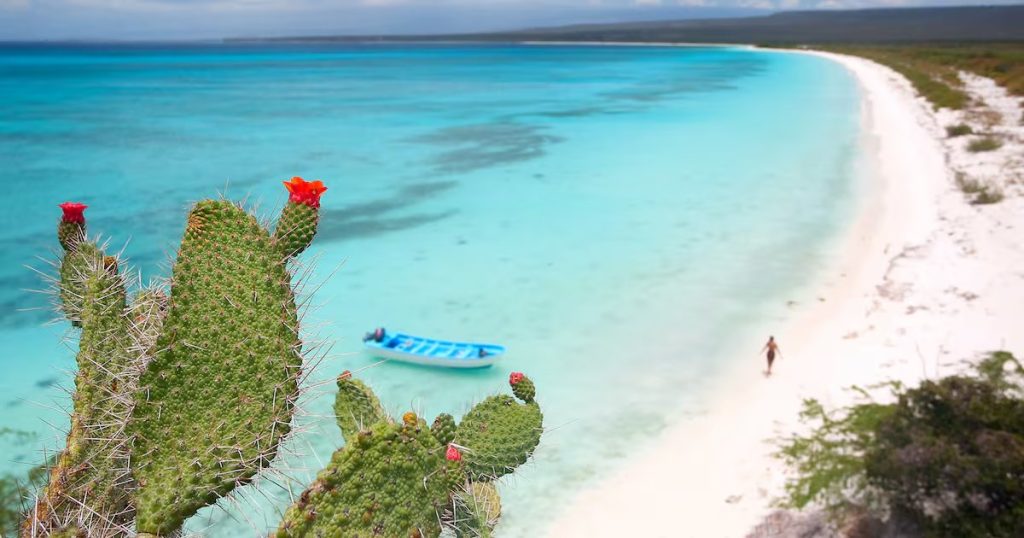Playas con Aguas Turquesas y Arenas Blancas en la República Dominicana - Playas de Ensueño en República Dominicana para tus Vacaciones