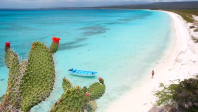 Playas con Aguas Turquesas y Arenas Blancas en la República Dominicana - Playas de Ensueño en República Dominicana para tus Vacaciones