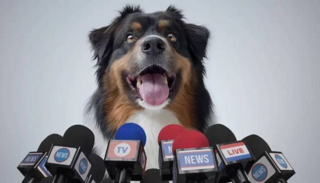 ¿Podrán los Perros Aprender a Hablar Algún Día? - Los perros y el lenguaje humano: ¿es posible científicamente?