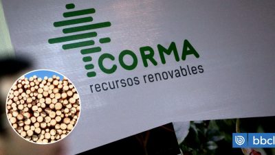 Preocupación de Corma por las Pymes ante el Nuevo Arancel a la Madera - Nuevos aranceles de EE.UU. ponen en jaque al sector maderero chileno