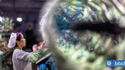 Rechazo de China a las Investigaciones Antidumping de México - China y México en Tensión por Investigaciones Antidumping