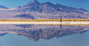 Revisión de la RCA de Albemarle en el Salar de Atacama - Revisión Ambiental en Salar de Atacama: Albemarle Bajo la Lupa.