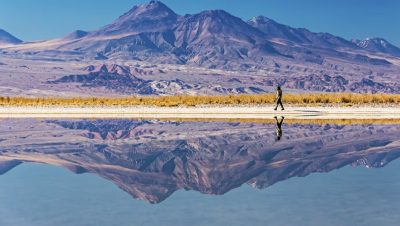 Revisión de la RCA de Albemarle en el Salar de Atacama - Revisión Ambiental en Salar de Atacama: Albemarle Bajo la Lupa.