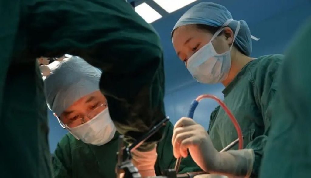 Trasplante de Hígado de Cerdo Modificado en un Paciente Humano - Paciente sobrevive 171 días con hígado porcino modificado exitosamente
