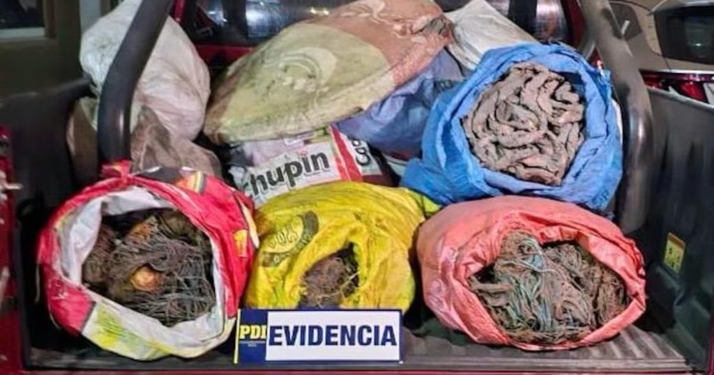 Detención de Sujetos por el Robo de Cobre en Arica - Detención en Arica: más de una tonelada de cobre robado incautada