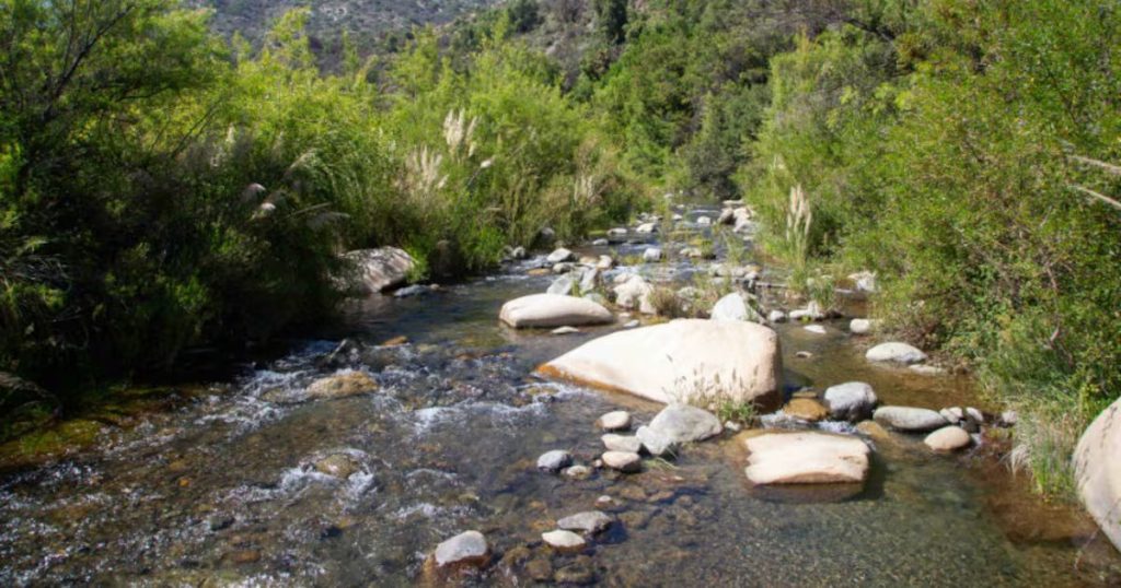 Entrada Gratuita a los Parques Nacionales en Chile por el Día Nacional de las Áreas Protegidas - Chile abre las puertas de sus parques nacionales este sábado