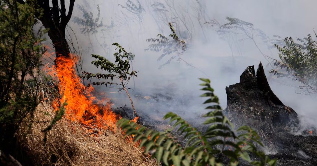Evacuación por Incendio Forestal en Limache, en la Región de Valparaíso - Incendios Forestales Desatan Alerta Roja en Limache y Marchigue