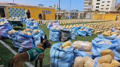 Incautación de Marihuana en la Región de Antofagasta - Incautación histórica de marihuana en Antofagasta sorprende a Chile