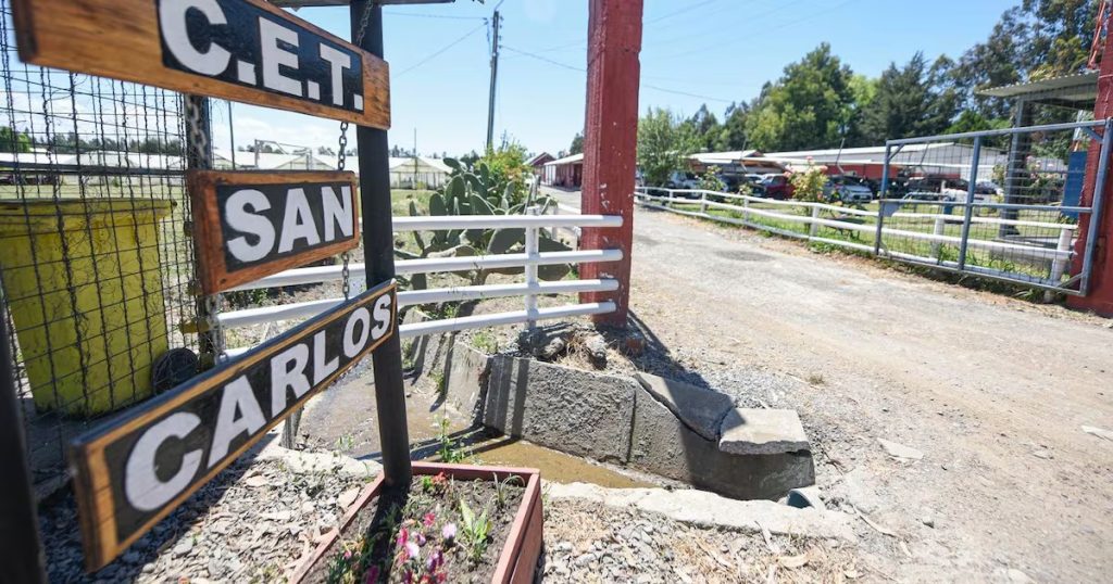 Inversión para la Reconstrucción de la Fábrica de Longanizas en San Carlos - Inversión millonaria revitaliza fábrica de longanizas en Ñuble