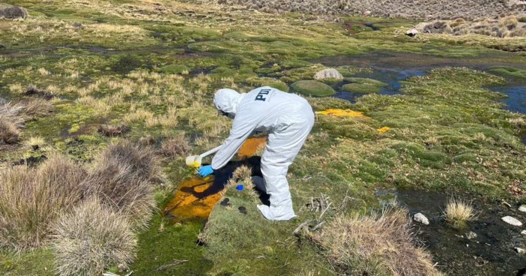 Investigación al Conductor de un Camión por el Derrame de Soya en el Lago Chungará - Derrame de aceite en el lago Chungará: un desastre ecológico ambiental