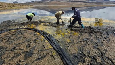 Retiro de Aceite del Lago Chungará tras un Derrame Ambiental - Derrame en Lago Chungará: Impacto Ambiental en la Fauna Endémica