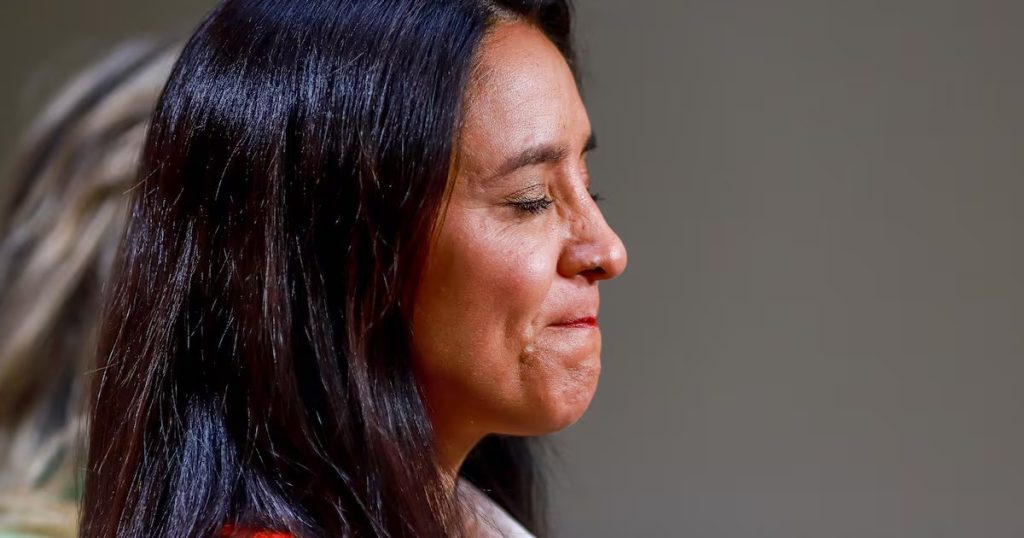 Sanción a la Exalcaldesa Peñaloza por la Compra del Cesfam en las Condes - Exalcaldesa de Las Condes sancionada por compra millonaria de terreno