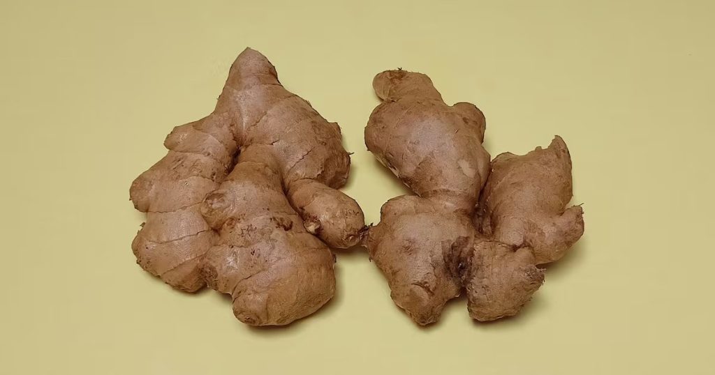 Síntomas y Dolencias que Puede Aliviar el Jengibre en el Cuerpo - Descubre el Poder del Jengibre Contra Náuseas y Otros Beneficios