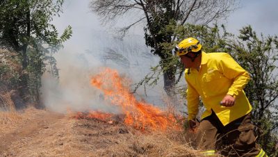 Alerta Preventiva por Incendios Forestales en la Región Metropolitana - Ola de calor extrema enciende alarmas por incendios forestales.