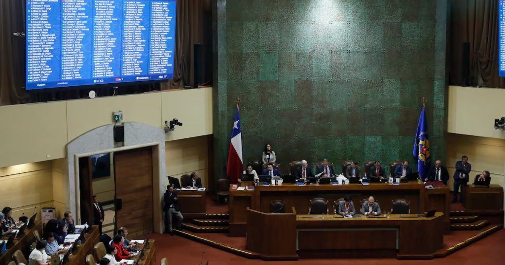 Aprobación de la Ley de Cuidados en la Cámara de Diputados - Aprobación de Ley de Cuidados avanza a comisión mixta para su revisión