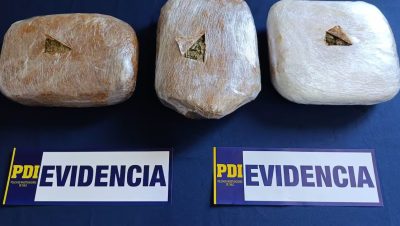 Captura de un Traficante de Cannabis en Traiguén - Golpe al narcotráfico en Traiguén: PDI desmantela red de cannabis