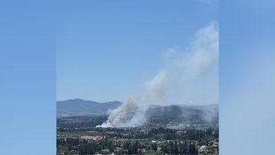 Control del Incendio Forestal en Melipilla y Evacuación de Culiprán - Incendio en Melipilla: Controlado, pero con Estragos Importantes