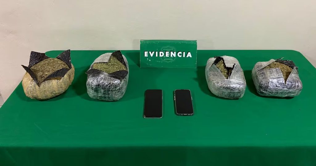 Decomiso de Droga en Puerto Varas y Detención de Menores de Edad - Carabineros de Puerto Varas incautan droga millonaria y detienen a menores