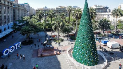 El Regreso del Árbol de Navidad en la Plaza de Armas de Santiago - El regreso del árbol de Navidad gigante en Santiago: símbolo de tradición y alegría