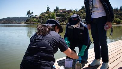 Florecimiento Tóxico en el Lago Vichuquén y Su Impacto - Crisis Ambiental en Vichuquén: Lago Cerrado Hasta 2026