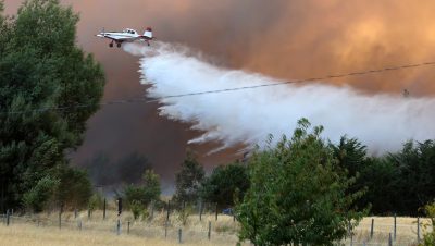 Incendio Forestal en Limache Afecta a 70 Hectáreas - Incendio en Limache obliga a evacuar y activa alerta roja
